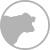 cow1_2.png