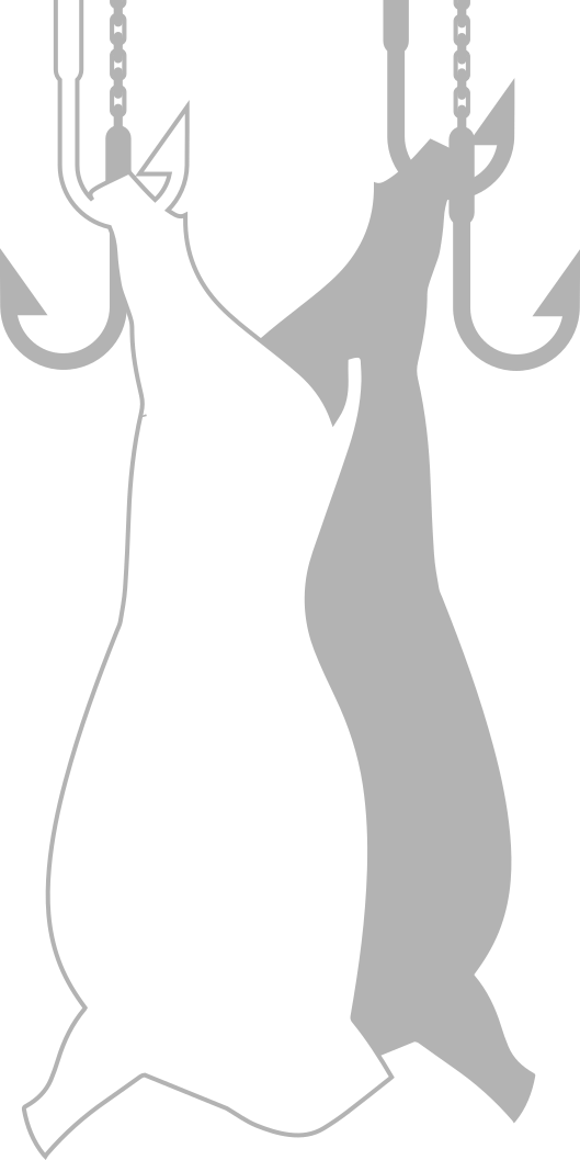 g5358-3-5.png