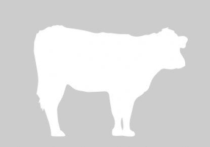 g7976.png